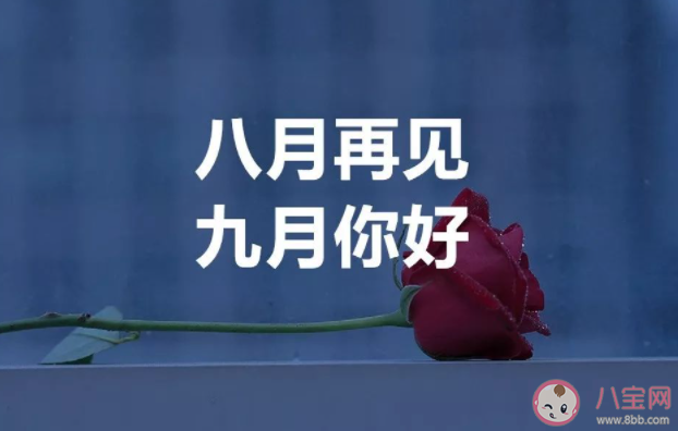 八月最后一天早安心語文案句子 八月最后一天的早安語錄說說