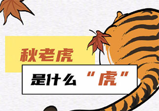全國(guó)秋老虎地圖 秋老虎來(lái)了如何養(yǎng)生