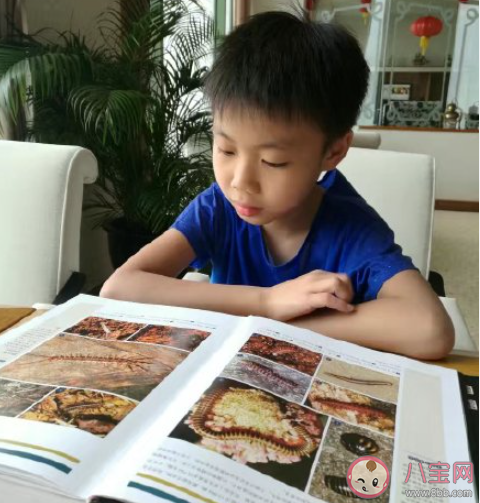 降低考試難度能否降低教育成本 為什么要降低考試難度