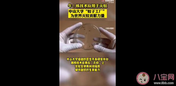 核技術是怎樣滅蚊的 核技術滅蚊靠譜安全嗎 核技術是怎樣滅蚊的 核技術滅蚊靠譜安全嗎