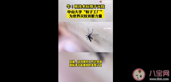 核技術是怎樣滅蚊的 核技術滅蚊靠譜安全嗎 核技術是怎樣滅蚊的 核技術滅蚊靠譜安全嗎