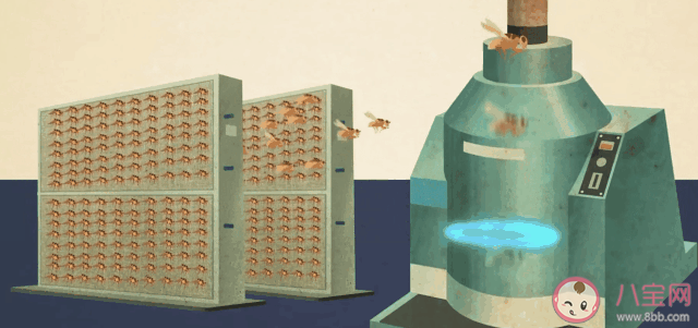 核技術是怎樣滅蚊的 核技術滅蚊靠譜安全嗎 核技術是怎樣滅蚊的 核技術滅蚊靠譜安全嗎