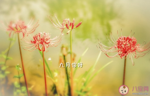 九月你好祝福語圖片句子2021 九月最美祝福圖片說說2021