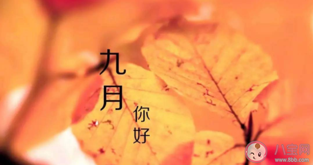 九月第一天早安發(fā)朋友圈句子 九月早安勵(lì)志正能量語錄