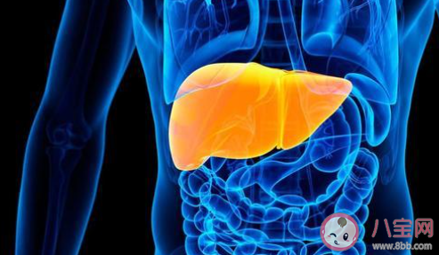 螞蟻莊園9月2日答案:長期吃素也會得脂肪肝嗎 螞蟻莊園9月2日答案:長期吃素也會得脂肪肝嗎