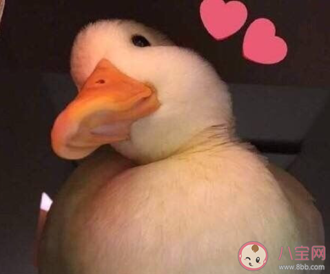 那些能吹噓一輩子的事 小時候都干過什么驚天動地的事