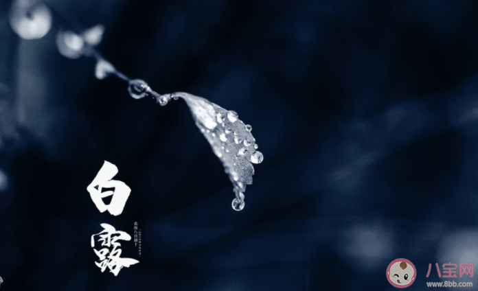 2021適合白露節氣發朋友圈文案句子 白露節氣經典朋友圈說說大全