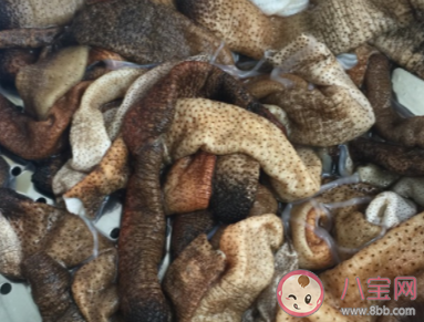 福建的特色傳統小吃土筍凍制作原料其實是 螞蟻莊園9月3日答案 福建的特色傳統小吃土筍凍制作原料其實是 螞蟻莊園9月3日答案