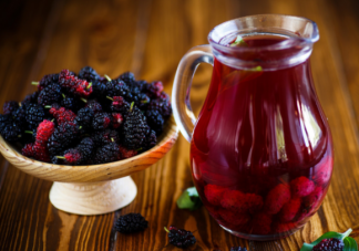 桑葚酒什么時(shí)候喝最好 女性喝桑葚酒有什么好處功效