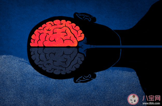 螞蟻莊園9月4日答案:出差旅行時會認床睡不著是因為什么 螞蟻莊園9月4日答案:出差旅行時會認床睡不著是因為什么