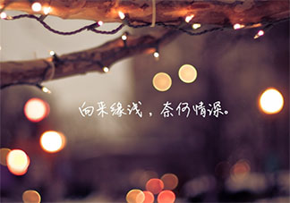 最理性暗戀是什么樣子的 暗戀應該怎樣保持理智