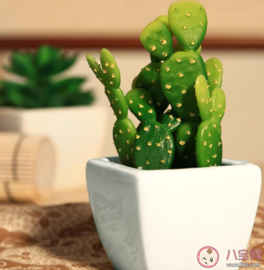 有哪些騙了你很久的偽常識 廣為流傳的生活偽常識盤點