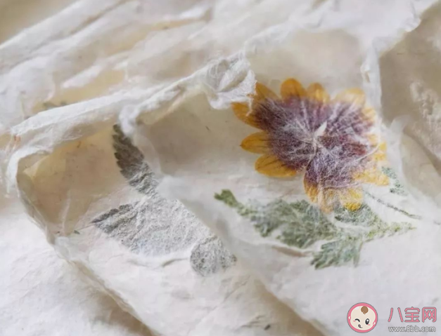 手工造紙的工藝在中國還有傳承嗎? 螞蟻莊園9月5日答案解析