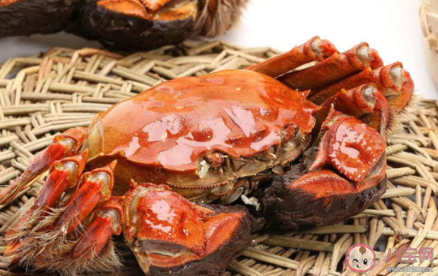 螃蟹的正確吃法是什么 什么樣的螃蟹千萬不能吃