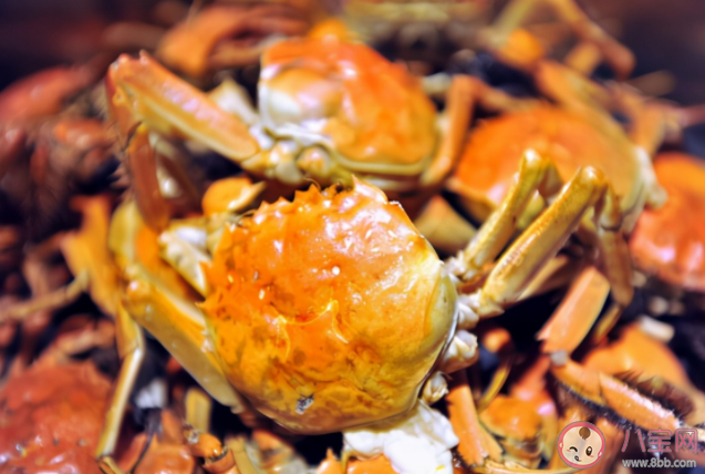 螃蟹的正確吃法是什么 什么樣的螃蟹千萬不能吃