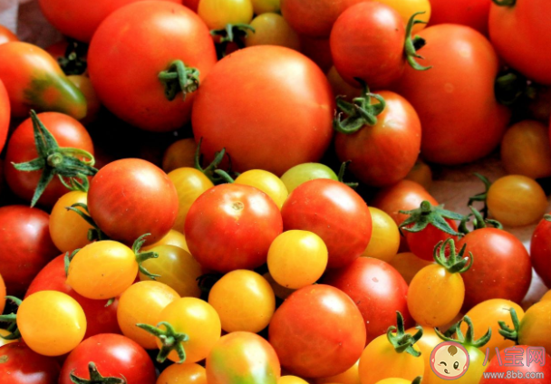 番茄是蔬菜還是水果 不同顏色番茄營養有何區別