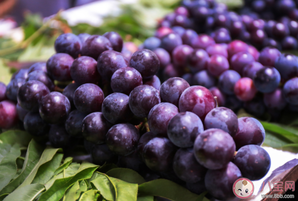 適合秋天吃的水果有哪些 怎么吃水果養(yǎng)而不傷 適合秋天吃的水果有哪些 怎么吃水果養(yǎng)而不傷