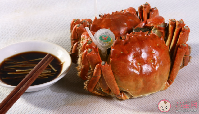 怎樣辨識(shí)陽澄湖大閘蟹的真假 怎么挑選優(yōu)質(zhì)的大閘蟹 怎樣辨識(shí)陽澄湖大閘蟹的真假 怎么挑選優(yōu)質(zhì)的大閘蟹