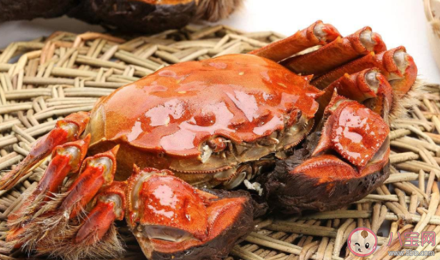 怎樣辨識(shí)陽澄湖大閘蟹的真假 怎么挑選優(yōu)質(zhì)的大閘蟹 怎樣辨識(shí)陽澄湖大閘蟹的真假 怎么挑選優(yōu)質(zhì)的大閘蟹