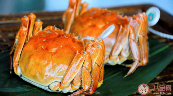怎樣辨識(shí)陽澄湖大閘蟹的真假 怎么挑選優(yōu)質(zhì)的大閘蟹 怎樣辨識(shí)陽澄湖大閘蟹的真假 怎么挑選優(yōu)質(zhì)的大閘蟹