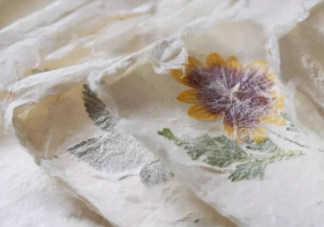 手工造紙的工藝在中國還有傳承嗎? 螞蟻莊園9月5日答案解析