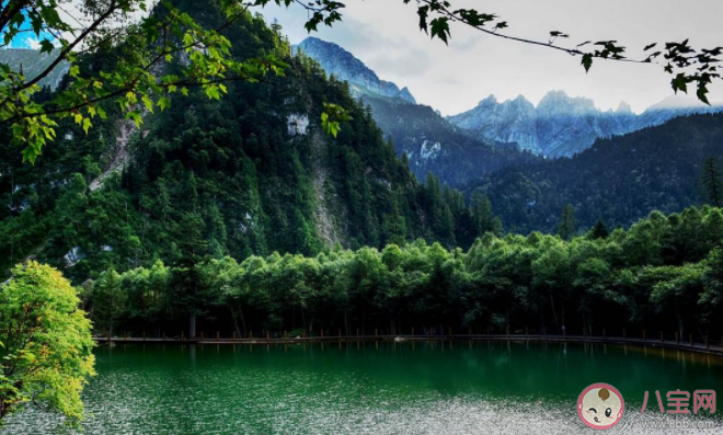 四川著名景區九寨溝因什么而得名 螞蟻莊園9月7日答案介紹 四川著名景區九寨溝因什么而得名 螞蟻莊園9月7日答案介紹