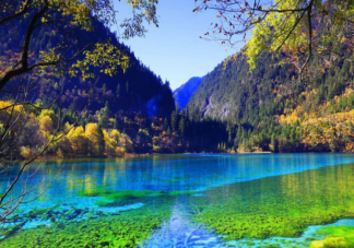 螞蟻莊園9月7日答案：四川著名景區九寨溝因什么而得名