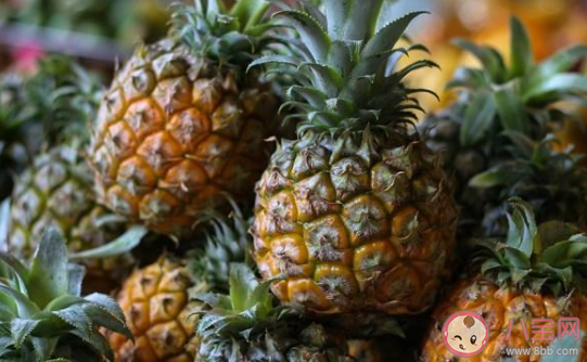 菠蘿和鳳梨是同一種水果嗎 螞蟻莊園9月8日答案介紹