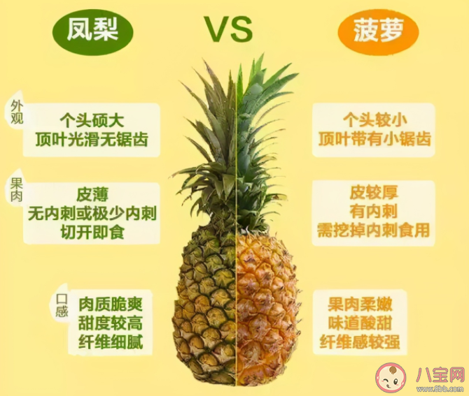 螞蟻莊園菠蘿和鳳梨是同一種水果嗎 9月8日答案解析 螞蟻莊園菠蘿和鳳梨是同一種水果嗎 9月8日答案解析