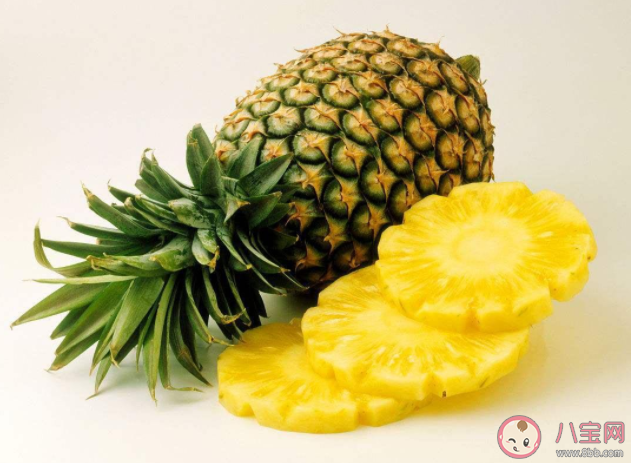 螞蟻莊園菠蘿和鳳梨是同一種水果嗎 9月8日答案解析 螞蟻莊園菠蘿和鳳梨是同一種水果嗎 9月8日答案解析