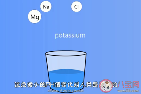 隔夜水對健康到底有沒有害 隔夜水能不能喝