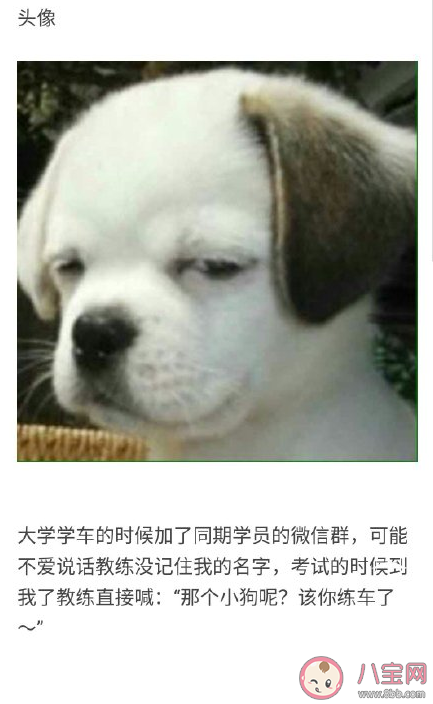 微信頭像會不會影響第一印象 不同風格微信頭像會給人什么感覺