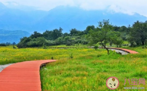 發現朋友圈被屏蔽該怎么辦 如何看待被朋友屏蔽朋友圈