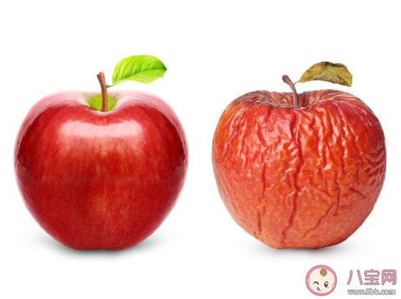 螞蟻莊園9月9日答案：保質(zhì)期較長的食物是不是添加了更多的防腐劑