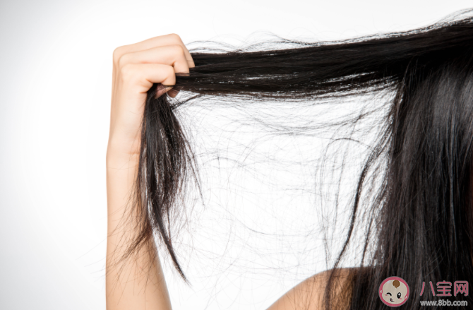 頭發(fā)干枯分叉的原因是什么 如何修復(fù)分叉的頭發(fā) 頭發(fā)干枯分叉的原因是什么 如何修復(fù)分叉的頭發(fā)