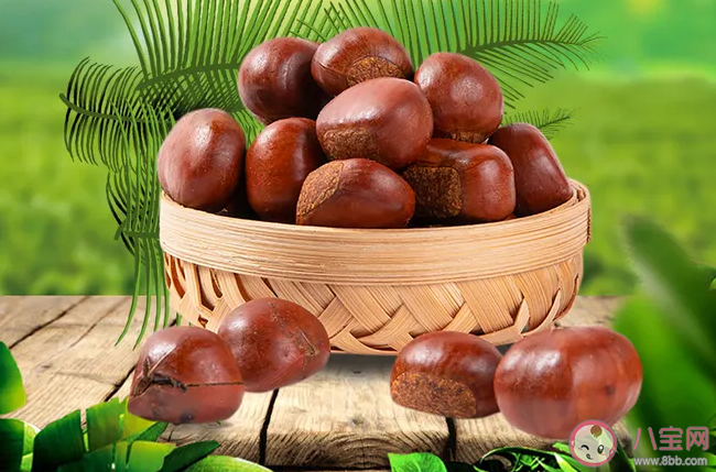 哪些人群不適合吃板栗 怎么健康吃板栗