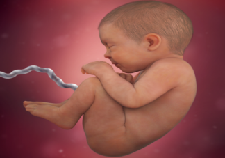 孕期羊水過多什么情況要終止妊娠 急性羊水過多和慢性有什么區別