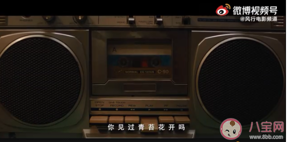 《青苔花開》講述了什么故事 《青苔花開》原型人物是誰