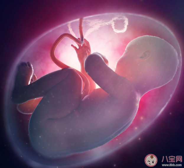 胎兒羊水成分有什么 破水了羊水會不會流干