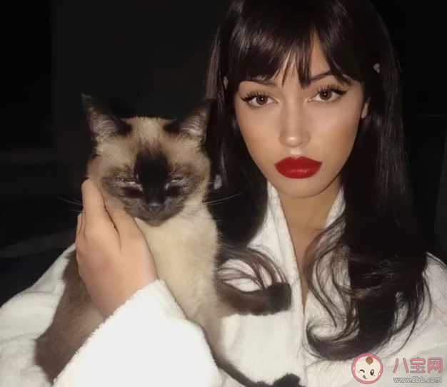 我們?yōu)槭裁丛诤醴窒碛?分享得不到回應(yīng)怎么辦