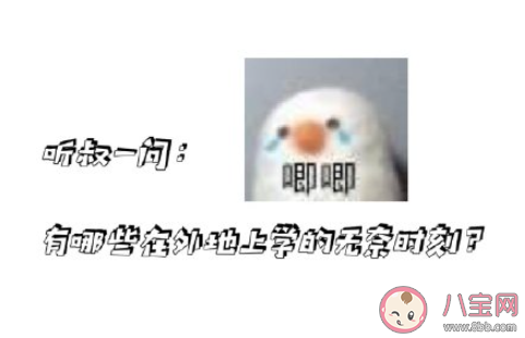 在外地上學(xué)的無奈時刻 一個人身在他鄉(xiāng)有哪些無奈 在外地上學(xué)的無奈時刻 一個人身在他鄉(xiāng)有哪些無奈
