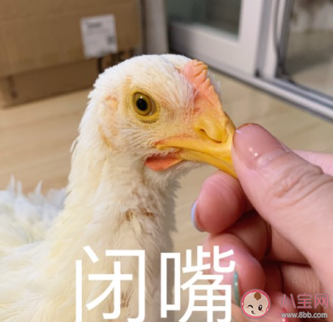 哪個瞬間讓你覺得親戚特別討厭 覺得親戚討厭的瞬間盤點(diǎn)