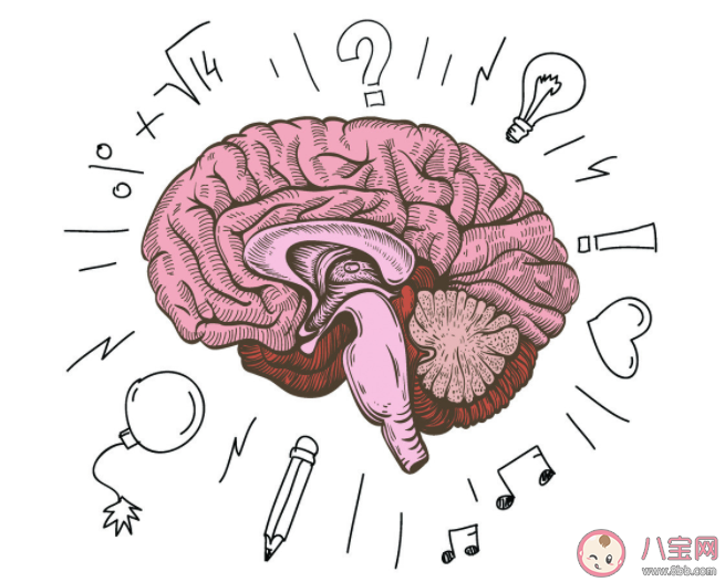 關于大腦的9個冷知識 如何保護腦健康