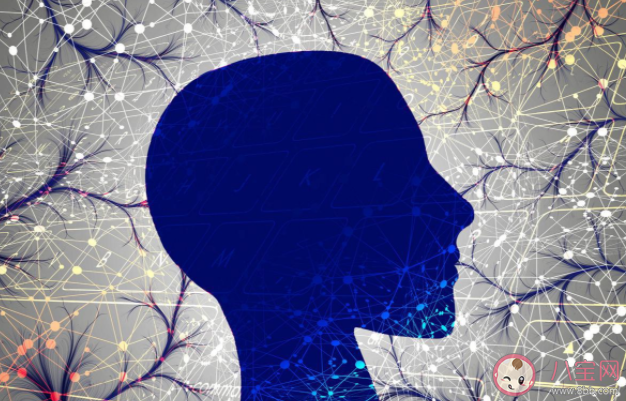 損害大腦健康的殺手有哪些 怎么練就最強大腦保持年輕態