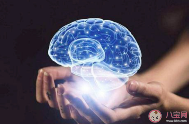 損害大腦健康的殺手有哪些 怎么練就最強大腦保持年輕態