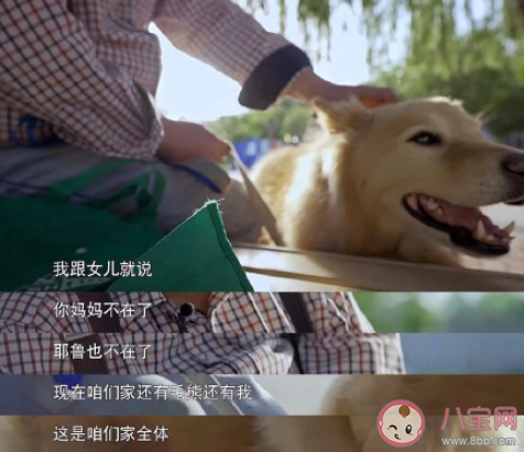 寵物能代替子女對老人的陪伴嗎 寵物對老人意味著什么