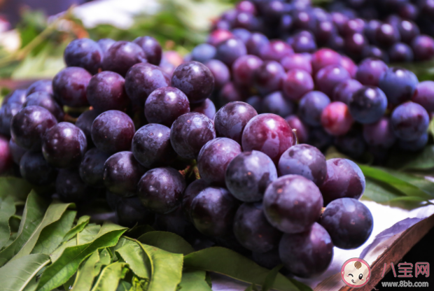 水果分公母嗎 生活中常見的水果怎么挑好吃 水果分公母嗎 生活中常見的水果怎么挑好吃