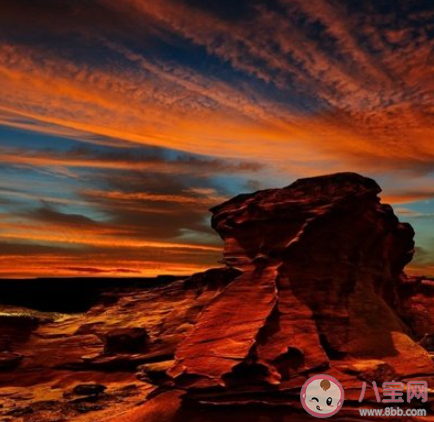 不發(fā)朋友圈的人對(duì)朋友圈是什么態(tài)度 你不發(fā)朋友圈的原因是什么 不發(fā)朋友圈的人對(duì)朋友圈是什么態(tài)度 你不發(fā)朋友圈的原因是什么