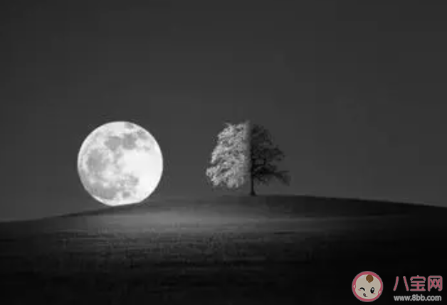 時光洪流中這份愛多渺小一放手就消散掉是什么歌 《時光洪流》完整版歌詞在線聽歌