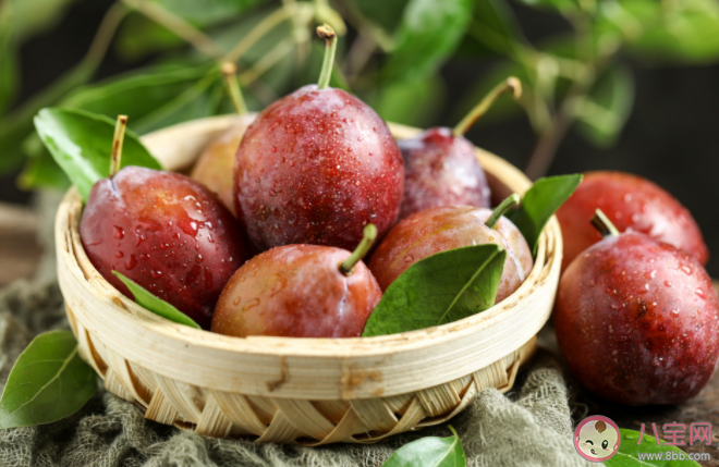 西梅吃多了拉肚子怎么回事 西梅一天吃多少合適 西梅吃多了拉肚子怎么回事 西梅一天吃多少合適